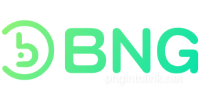 BNG Payment Partner